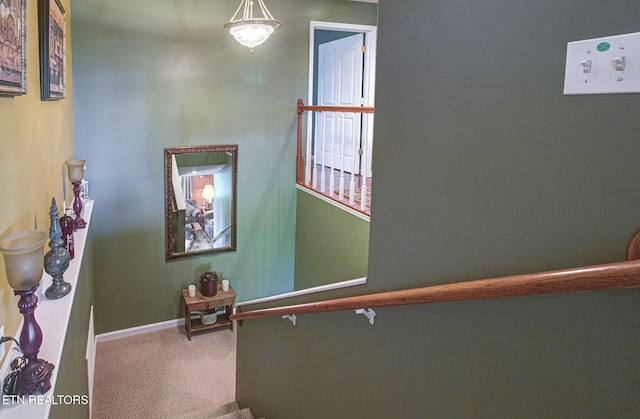 954 Pawnee Ct, Sevierville, TN 37876 - stairs featuring baseboards and carpet floors