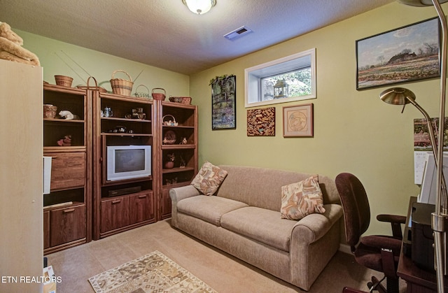 954 Pawnee Ct, Sevierville, TN 37876 - living room with a textured ceiling, light carpet, and visible vents
