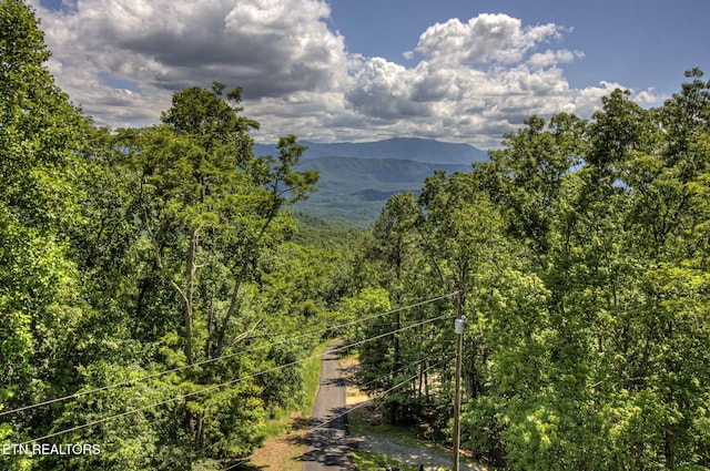 954 Pawnee Ct, Sevierville, TN 37876 - view of mountain feature featuring a wooded view