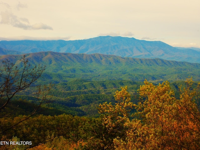 954 Pawnee Ct, Sevierville, TN 37876 - property view of mountains with a view of trees