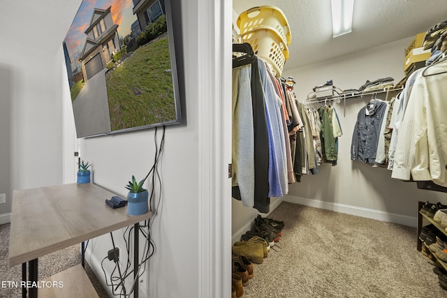 walk in closet featuring carpet