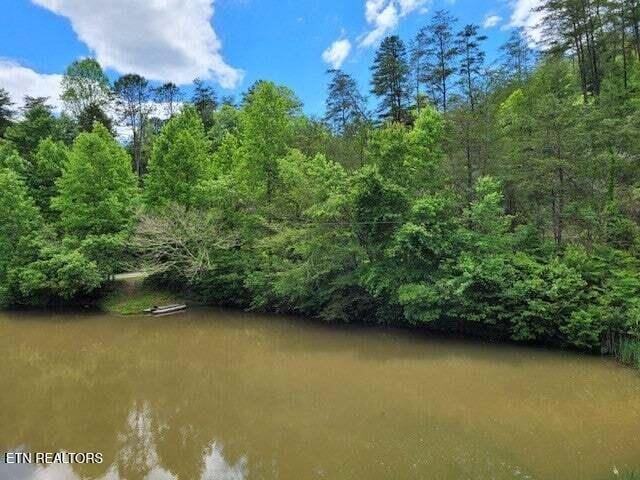 water view featuring a forest view