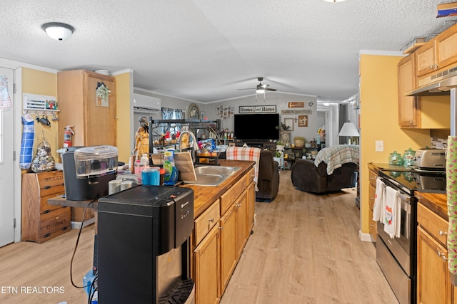 kitchen featuring light wood-type flooring, a wall unit AC, stainless steel electric range, and a sink