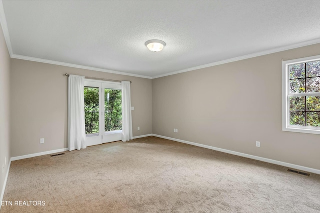 carpeted spare room with a wealth of natural light, visible vents, and a textured ceiling