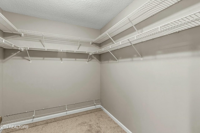 spacious closet featuring carpet flooring