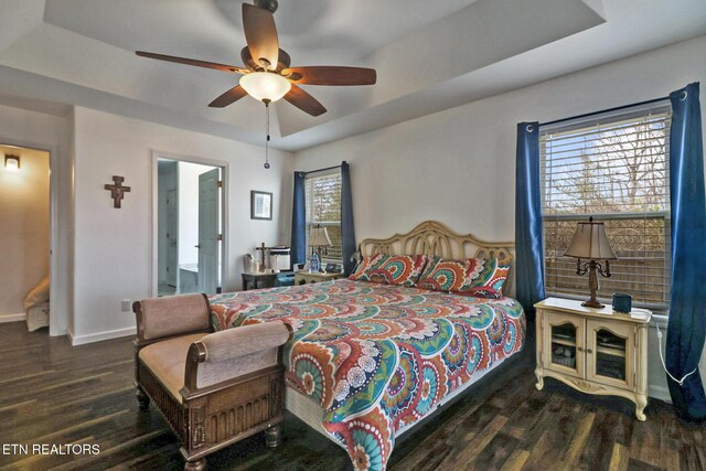 bedroom featuring a raised ceiling, multiple windows, wood finished floors, and baseboards