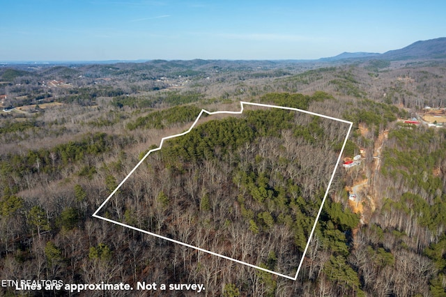 3336 Turkey Pen Branch Rd, Maryville TN, 37803 land for sale