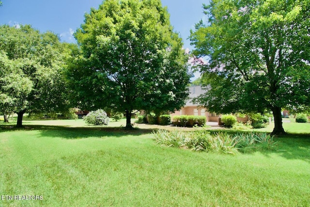1689 Peppertree Dr, Alcoa, TN 37701 - view of grassy yard
