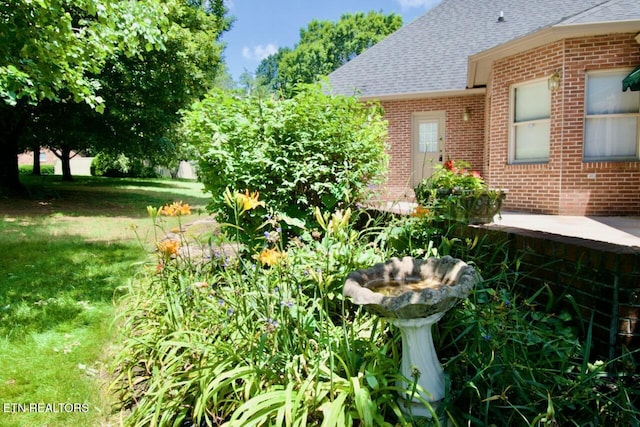 1689 Peppertree Dr, Alcoa, TN 37701 - view of grassy yard