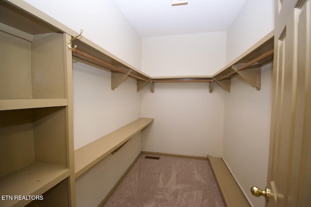 1689 Peppertree Dr, Alcoa, TN 37701 - walk in closet featuring carpet floors