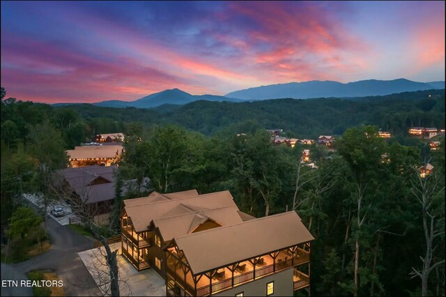 mountain view featuring a wooded view