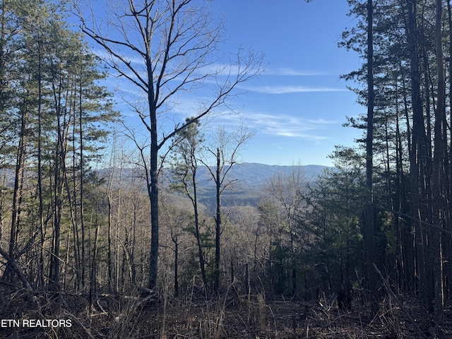 Listing photo 2 for Rudd Hollow Rd, Townsend TN 37882