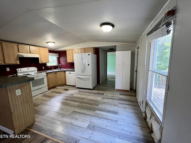 kitchen featuring lofted ceiling, dark countertops, light wood-style floors, white appliances, and under cabinet range hood