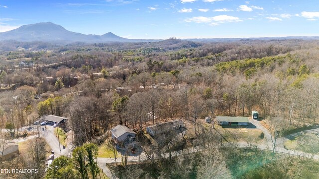 1024 Tramel Rd, Sevierville, TN 37862 - photo 26