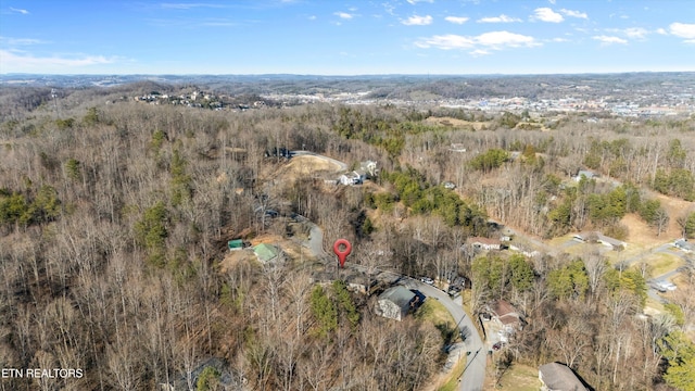 1024 Tramel Rd, Sevierville, TN 37862 - photo 28