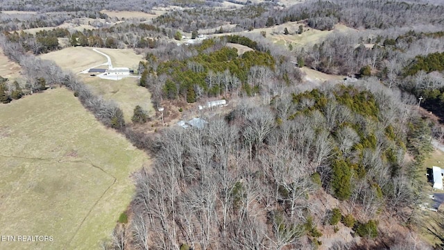 2695 Leslie Rd, Burkesville, KY 42717 - photo 7