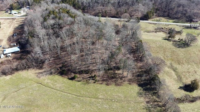 2695 Leslie Rd, Burkesville, KY 42717 - photo 12