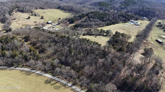 2695 Leslie Rd, Burkesville, KY 42717 - photo 15