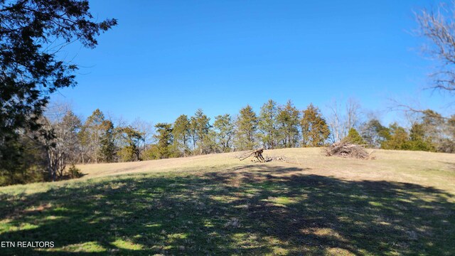 2695 Leslie Rd, Burkesville, KY 42717 - photo 6