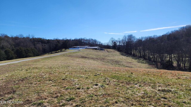 2695 Leslie Rd, Burkesville, KY 42717 - photo 2