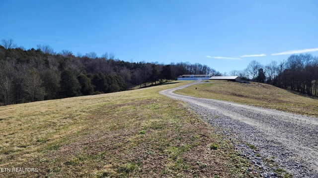 2695 Leslie Rd, Burkesville, KY 42717 - photo 4