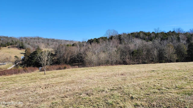 2695 Leslie Rd, Burkesville, KY 42717 - photo 5
