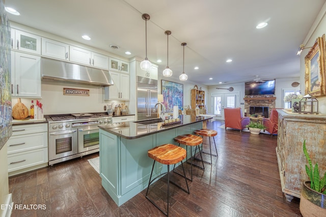 kitchen featuring high end appliances, dark wood-style floors, under cabinet range hood, a fireplace, and a sink