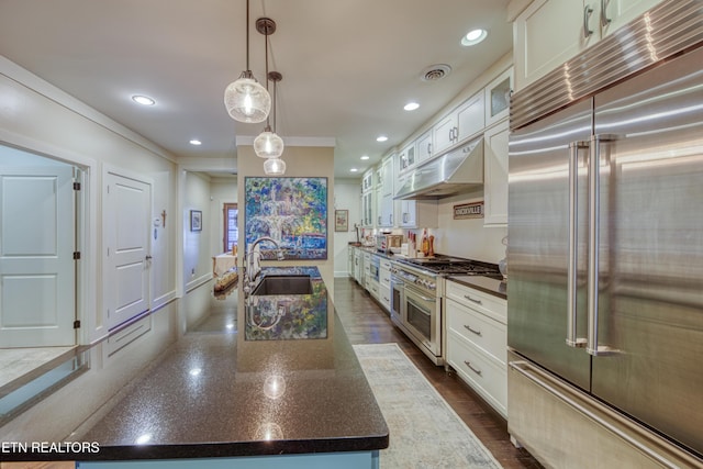 kitchen featuring premium appliances, white cabinets, a sink, and under cabinet range hood