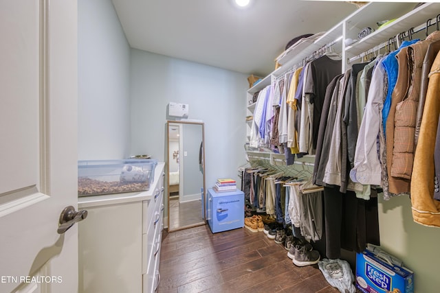 spacious closet featuring dark wood-style flooring