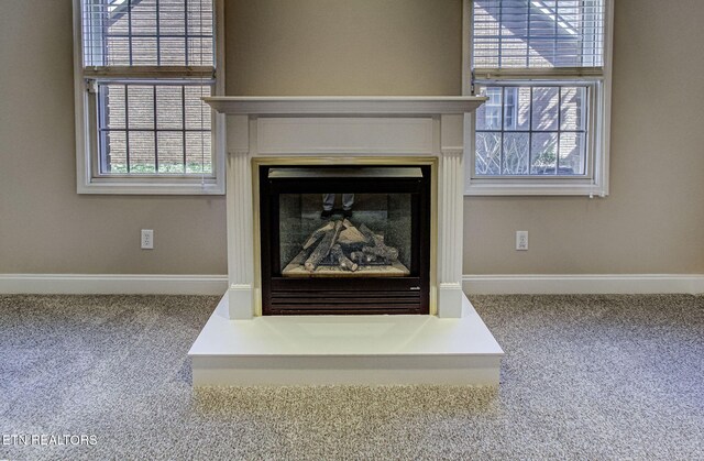 interior details featuring carpet, baseboards, and a glass covered fireplace