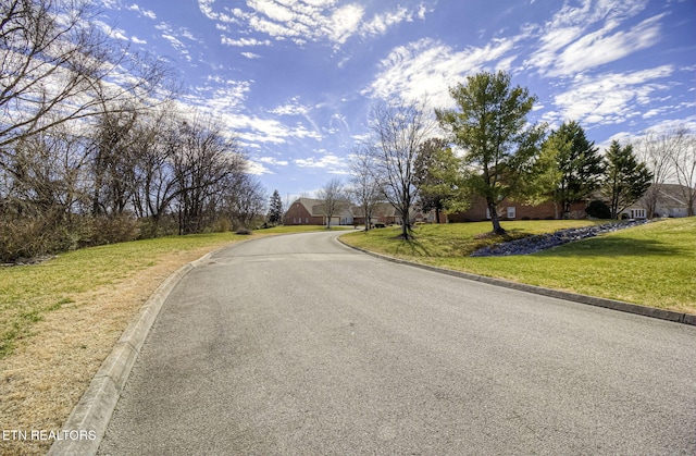 view of street with curbs