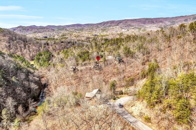 2938 Lightfoot Way, Sevierville, TN 37862 - view of mountain feature with a forest view