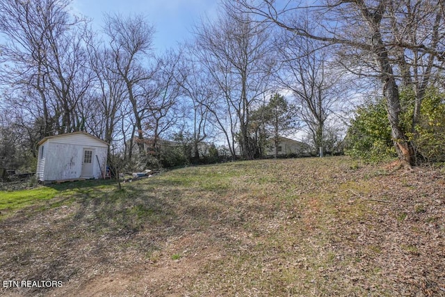 view of yard with a shed and an outdoor structure