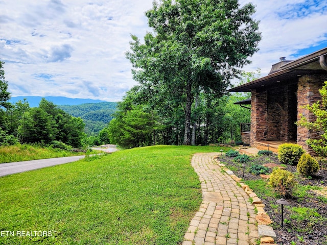 view of yard featuring a mountain view