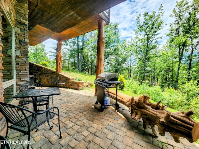 view of patio / terrace with outdoor dining area and grilling area