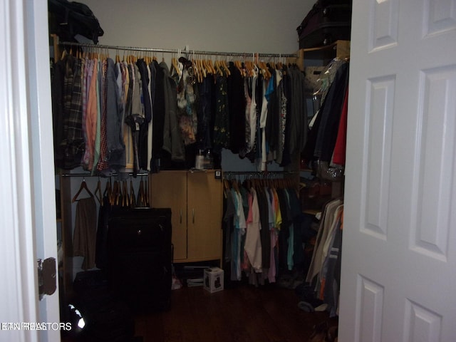 walk in closet featuring wood finished floors