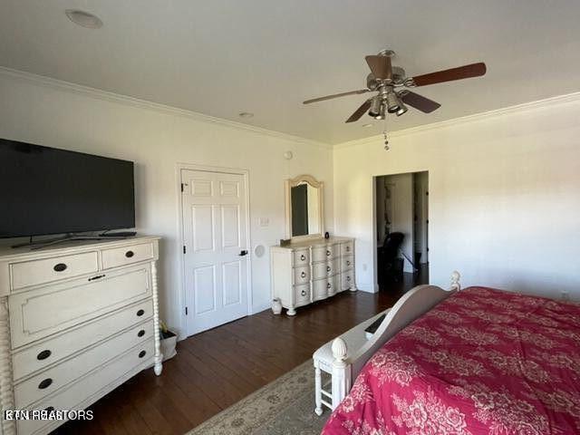 bedroom with dark wood-style flooring, a ceiling fan, and crown molding