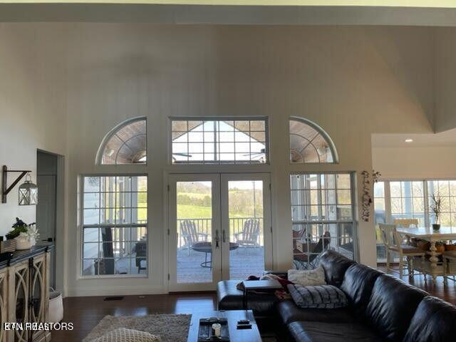 living room featuring french doors, wood finished floors, a towering ceiling, and a healthy amount of sunlight