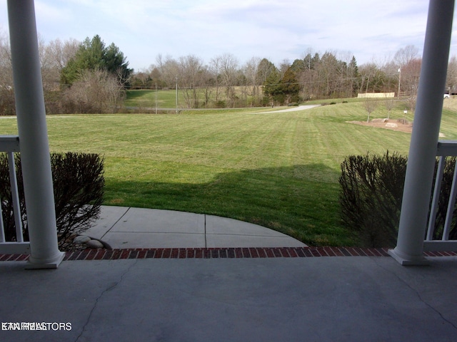 view of yard featuring a patio