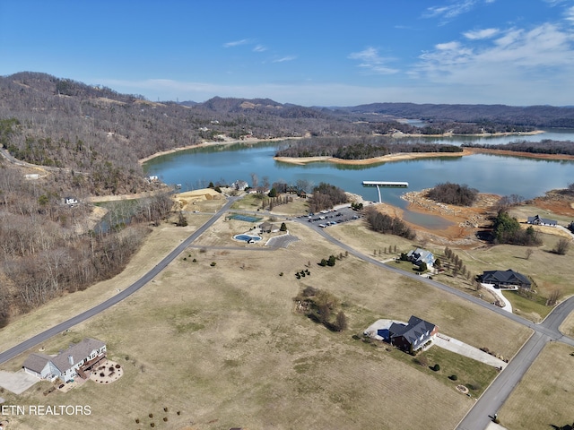 birds eye view of property featuring a water and mountain view