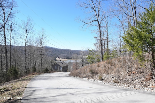 Listing photo 2 for LOT77 Pinnacle Pointe Way, Sharps Chapel TN 37866