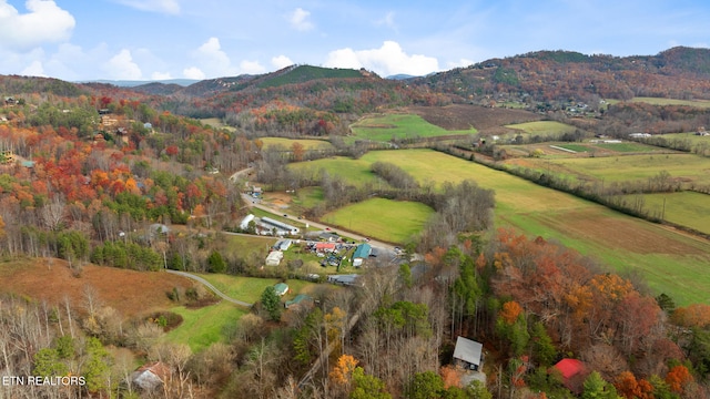 birds eye view of property featuring a rural view and a mountain view