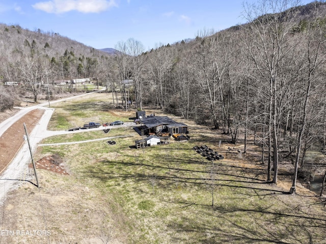 mountain view featuring a wooded view