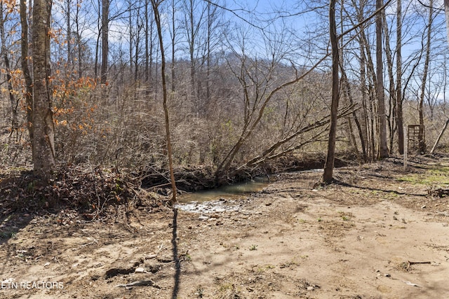 view of nature with a view of trees