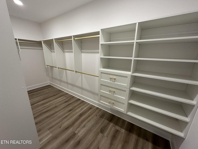 walk in closet featuring dark wood-style floors