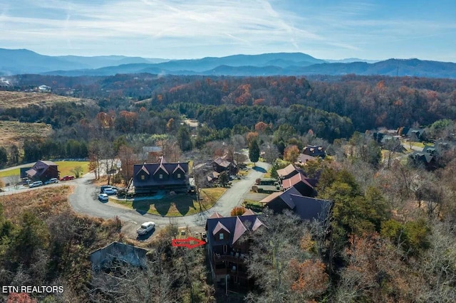 bird's eye view with a mountain view and a forest view