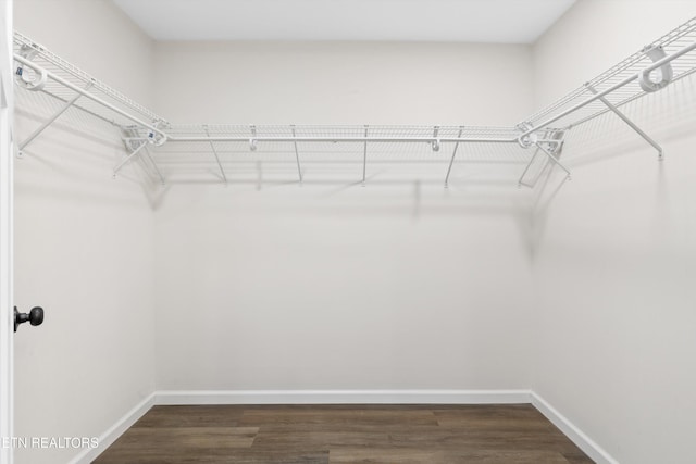 spacious closet featuring dark wood finished floors