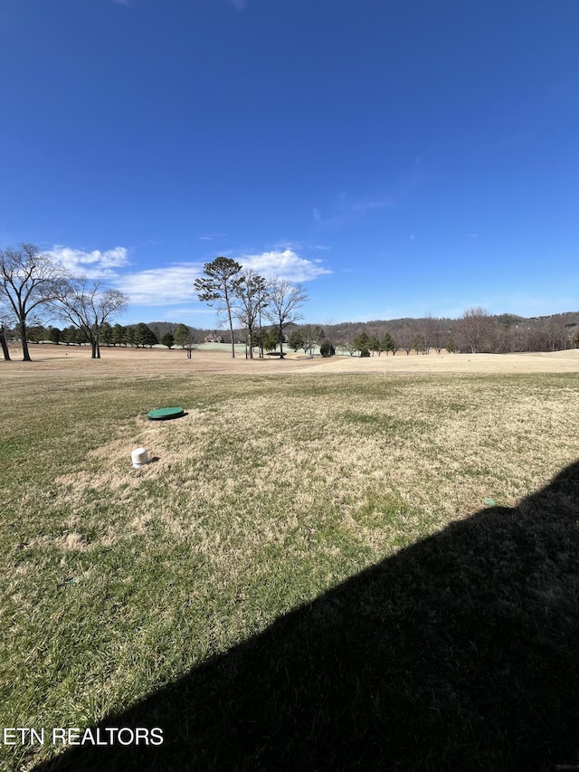 565 Rarity Bay Pkwy # 103A, Vonore, TN 37885 - photo 10