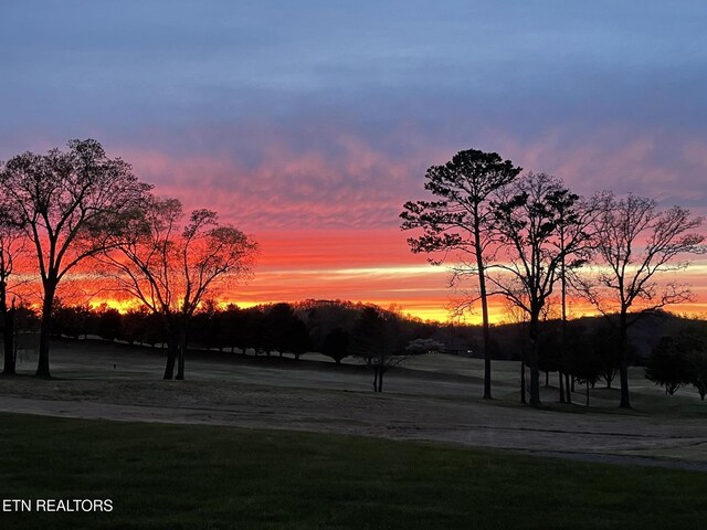 565 Rarity Bay Pkwy # 103A, Vonore, TN 37885 - photo 13
