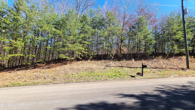 223 Burning Oaks Dr, Sevierville TN, 37876 land for sale